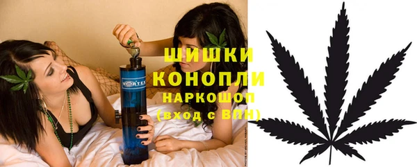 гидра Бугульма