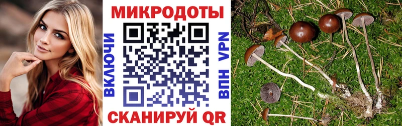 hydra зеркало  даркнет формула  Галлюциногенные грибы Psilocybe  Мурманск 